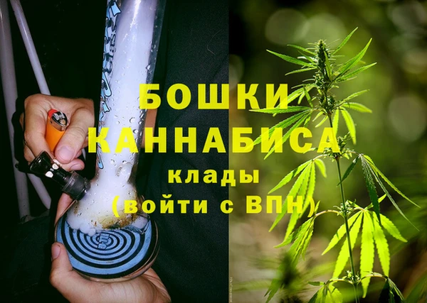 гашик Шарыпово