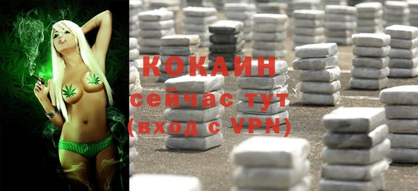 Альфа ПВП Шали