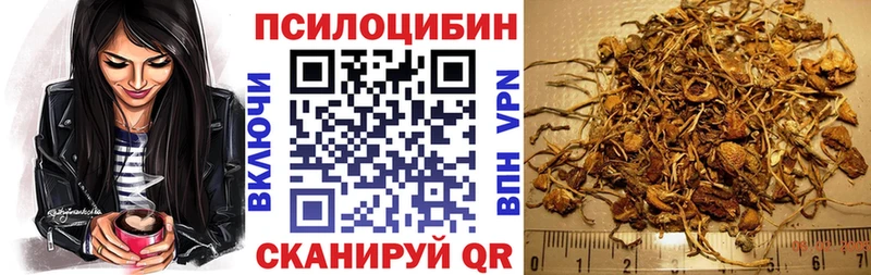 мега как зайти Волжский Псилоцибиновые грибы Psilocybine cubensis