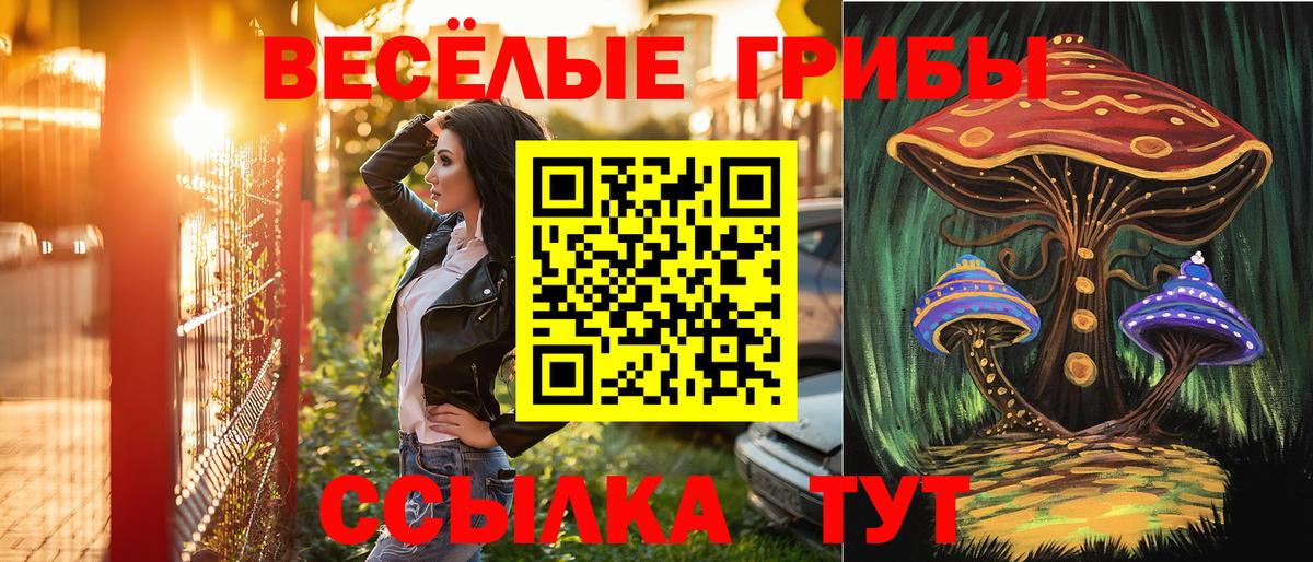 Волжский  Галлюциногенные грибы прущие грибы  Вход с VPN 
