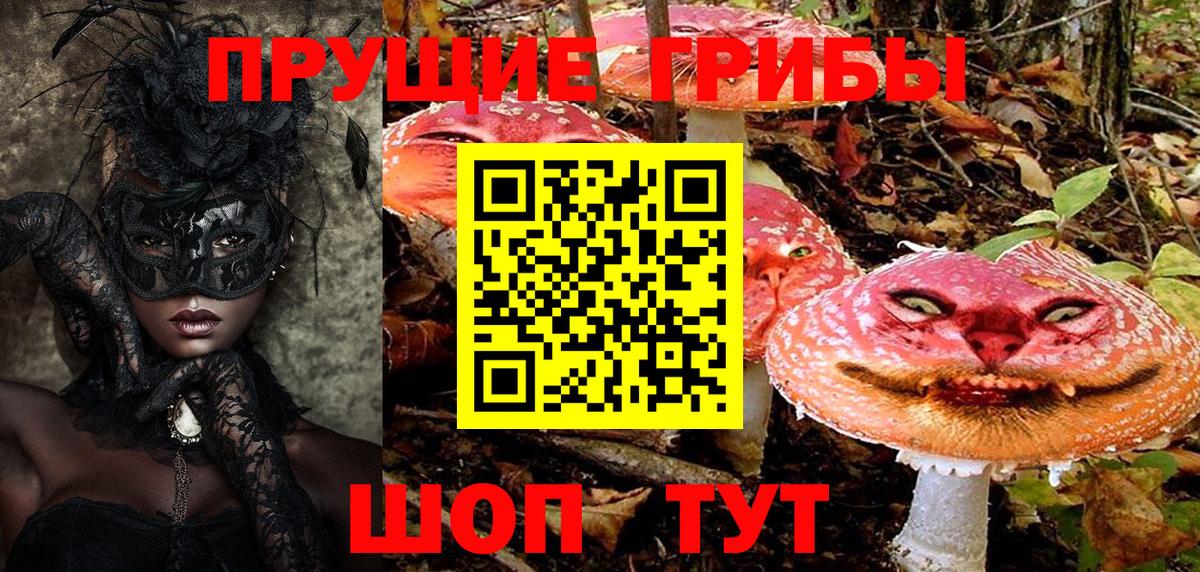 купить   Волжский  Псилоцибиновые грибы мухоморы 