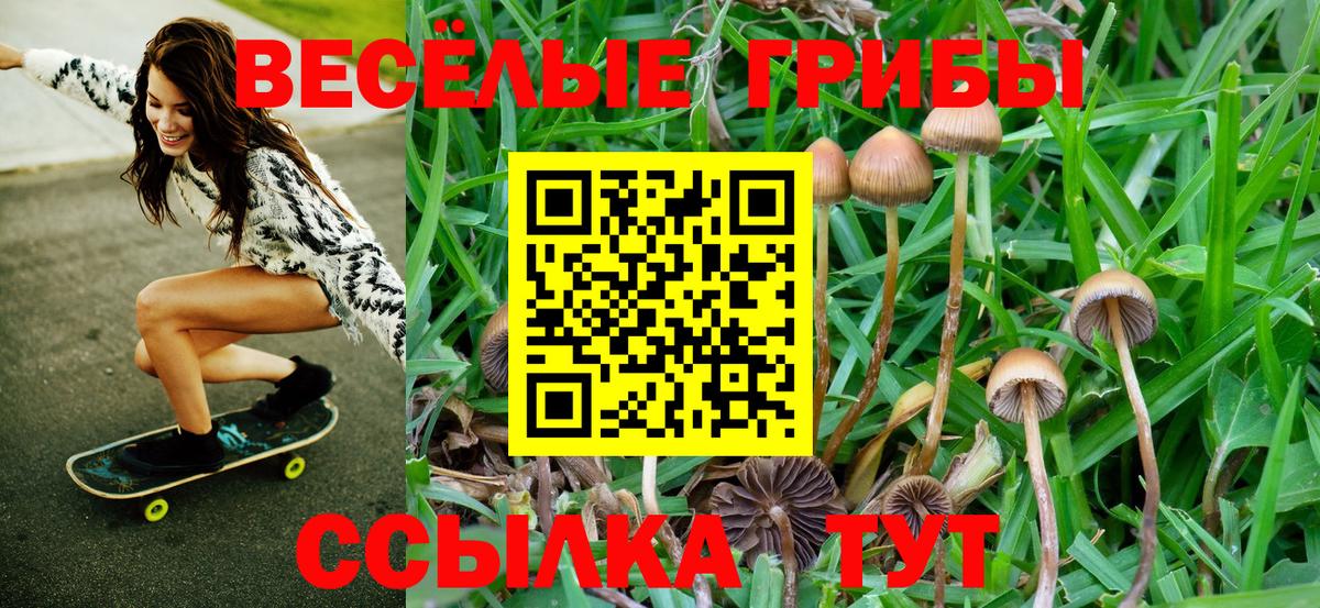 Псилоцибиновые грибы Magic Shrooms Волжский